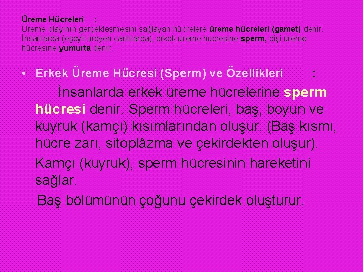 Üreme Hücreleri : Üreme olayının gerçekleşmesini sağlayan hücrelere üreme hücreleri (gamet) denir. İnsanlarda (eşeyli