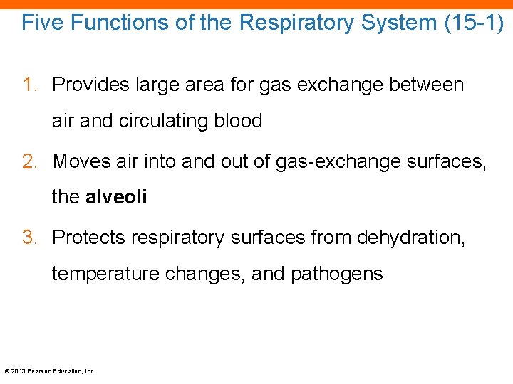 Five Functions of the Respiratory System (15 -1) 1. Provides large area for gas