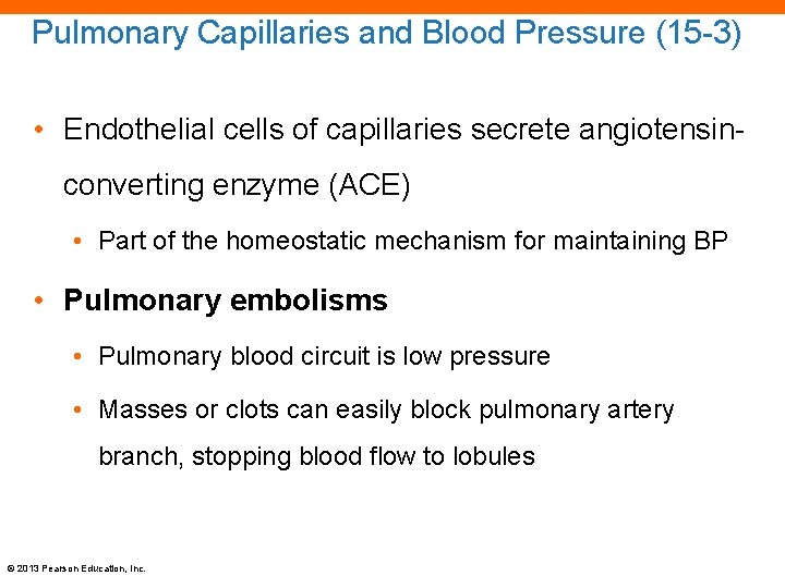 Pulmonary Capillaries and Blood Pressure (15 -3) • Endothelial cells of capillaries secrete angiotensinconverting