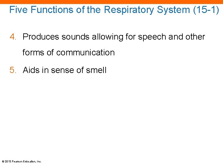 Five Functions of the Respiratory System (15 -1) 4. Produces sounds allowing for speech
