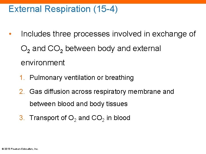 External Respiration (15 -4) • Includes three processes involved in exchange of O 2
