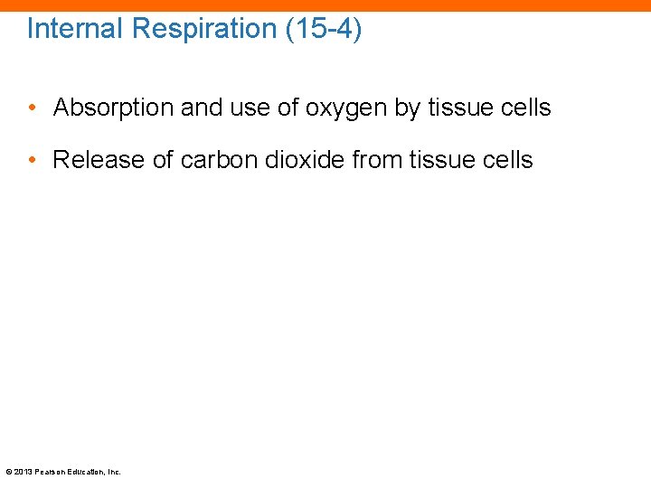 Internal Respiration (15 -4) • Absorption and use of oxygen by tissue cells •