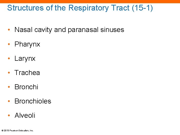 Structures of the Respiratory Tract (15 -1) • Nasal cavity and paranasal sinuses •