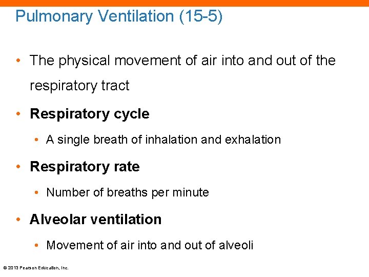 Pulmonary Ventilation (15 -5) • The physical movement of air into and out of