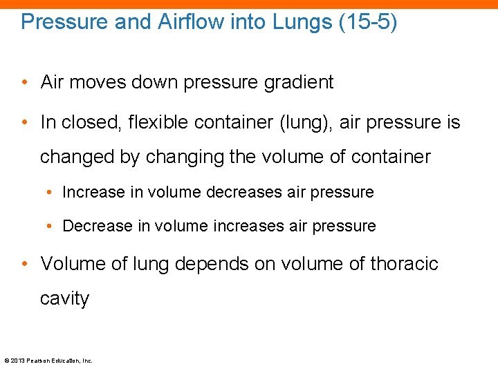 Pressure and Airflow into Lungs (15 -5) • Air moves down pressure gradient •