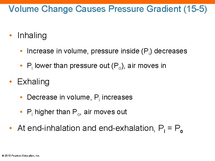 Volume Change Causes Pressure Gradient (15 -5) • Inhaling • Increase in volume, pressure