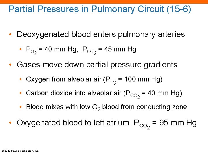 Partial Pressures in Pulmonary Circuit (15 -6) • Deoxygenated blood enters pulmonary arteries •