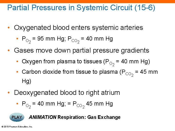 Partial Pressures in Systemic Circuit (15 -6) • Oxygenated blood enters systemic arteries •