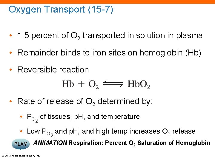 Oxygen Transport (15 -7) • 1. 5 percent of O 2 transported in solution