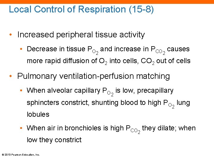Local Control of Respiration (15 -8) • Increased peripheral tissue activity • Decrease in