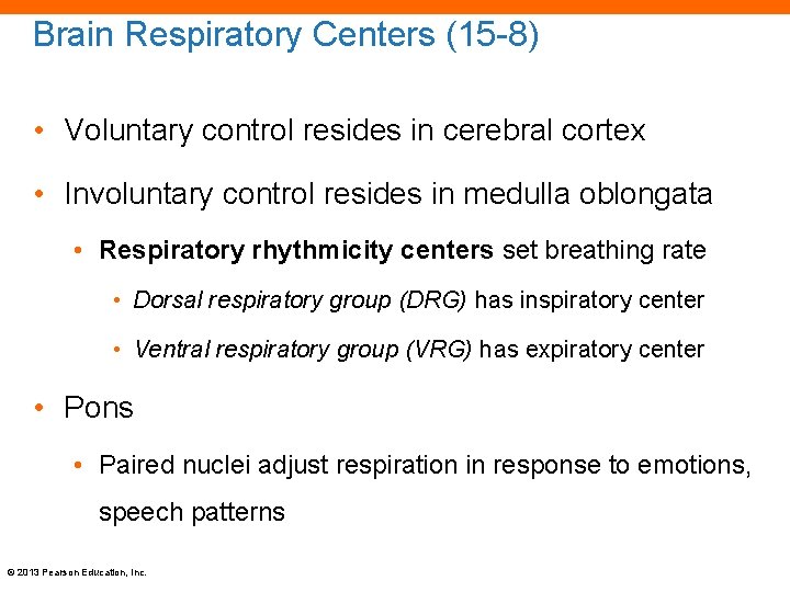 Brain Respiratory Centers (15 -8) • Voluntary control resides in cerebral cortex • Involuntary