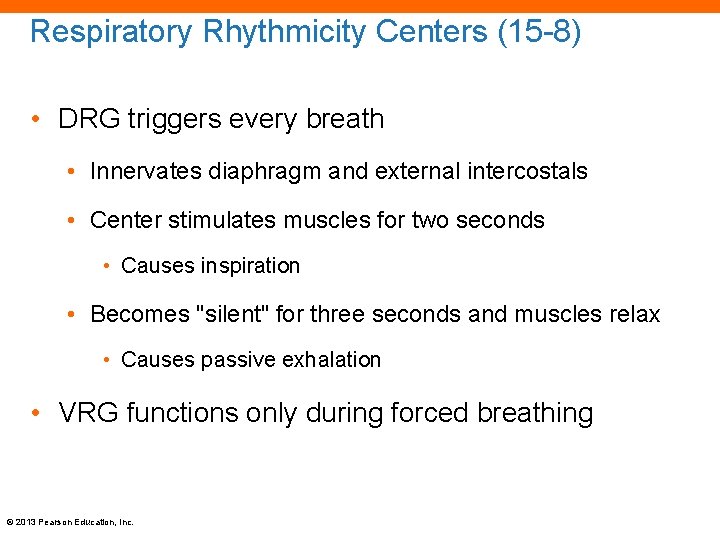 Respiratory Rhythmicity Centers (15 -8) • DRG triggers every breath • Innervates diaphragm and