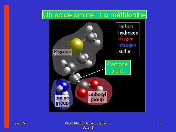 Un acide aminé : La méthionine Carbone alpha 09/17/98 PAA 1140 Biochimie vétérinaire :