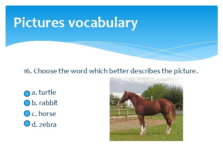 Pictures vocabulary 16. Choose the word which better describes the picture. a. turtle b.