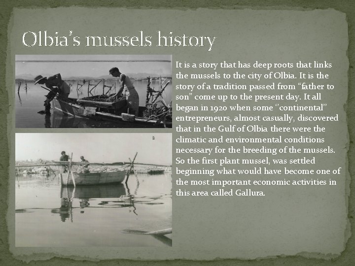 Olbia’s mussels history It is a story that has deep roots that links the