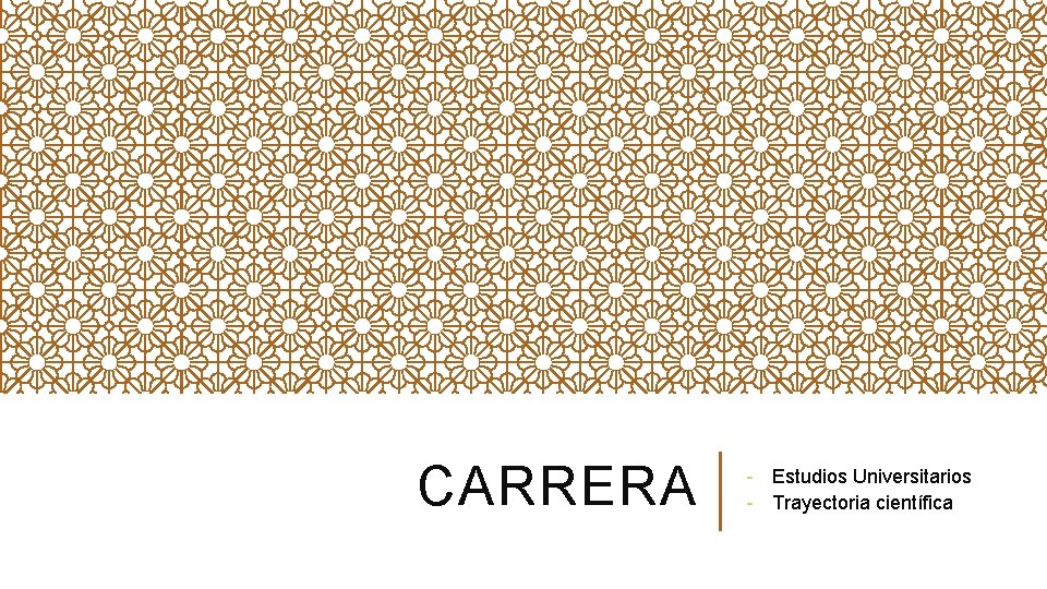 CARRERA - Estudios Universitarios - Trayectoria científica 