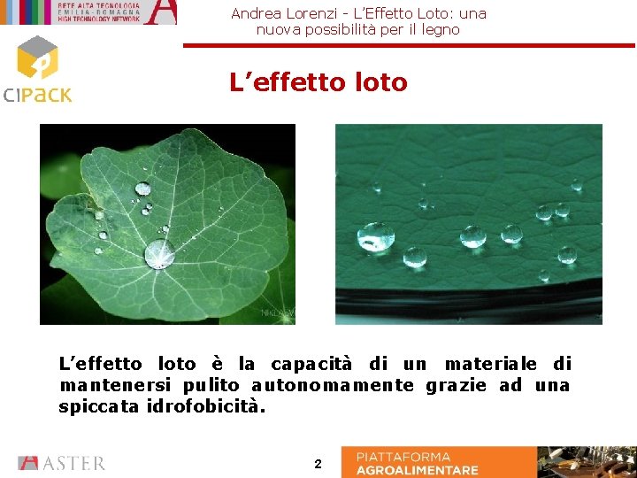 Andrea Lorenzi - L’Effetto Loto: una nuova possibilità per il legno L’effetto loto è