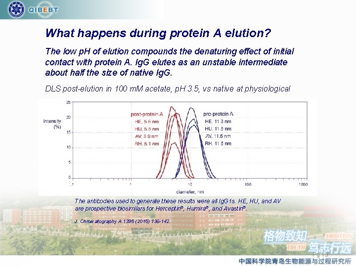 What happens during protein A elution? The low p. H of elution compounds the