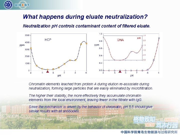 What happens during eluate neutralization? Neutralization p. H controls contaminant content of filtered eluate.