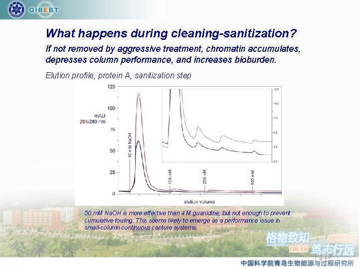 What happens during cleaning-sanitization? If not removed by aggressive treatment, chromatin accumulates, depresses column