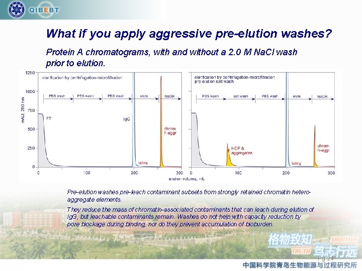 What if you apply aggressive pre-elution washes? Protein A chromatograms, with and without a