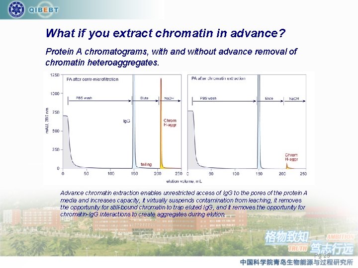 What if you extract chromatin in advance? Protein A chromatograms, with and without advance