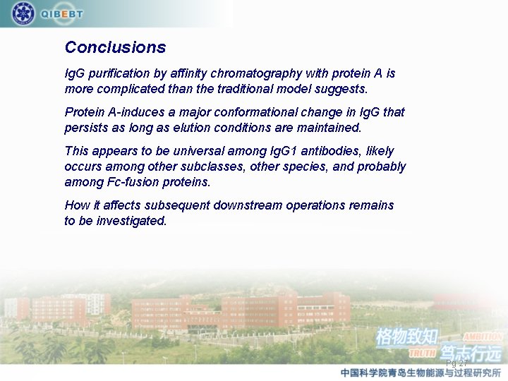 Conclusions Ig. G purification by affinity chromatography with protein A is more complicated than