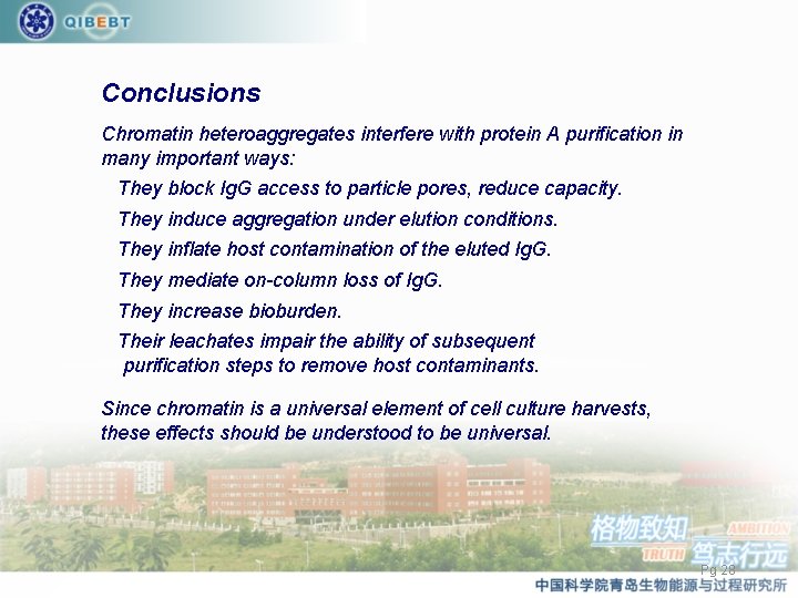 Conclusions Chromatin heteroaggregates interfere with protein A purification in many important ways: They block