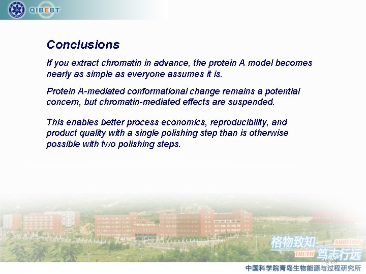 Conclusions If you extract chromatin in advance, the protein A model becomes nearly as