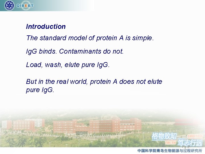Introduction The standard model of protein A is simple. Ig. G binds. Contaminants do