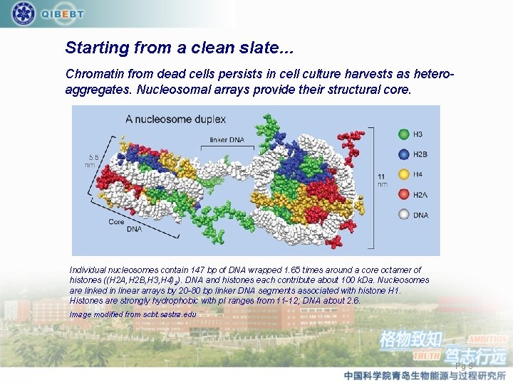 Starting from a clean slate… Chromatin from dead cells persists in cell culture harvests