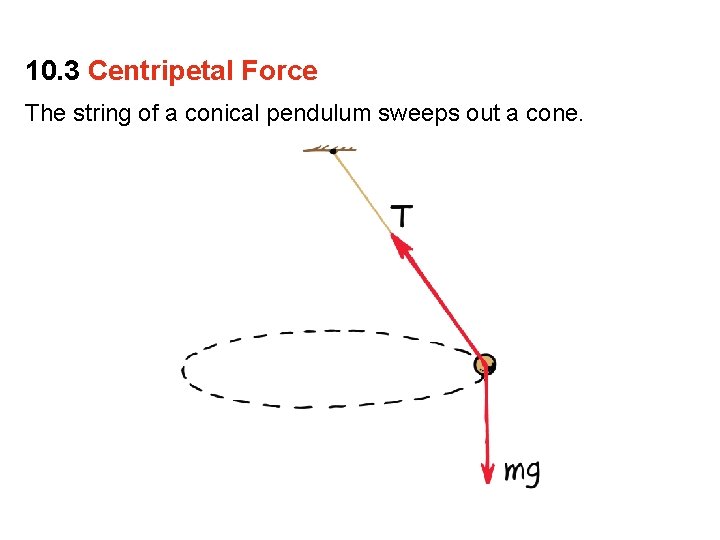 10. 3 Centripetal Force The string of a conical pendulum sweeps out a cone.