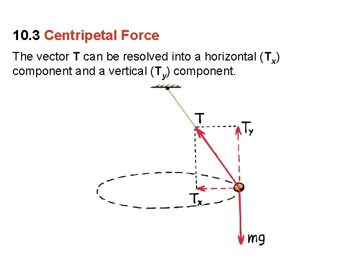 10. 3 Centripetal Force The vector T can be resolved into a horizontal (Tx)