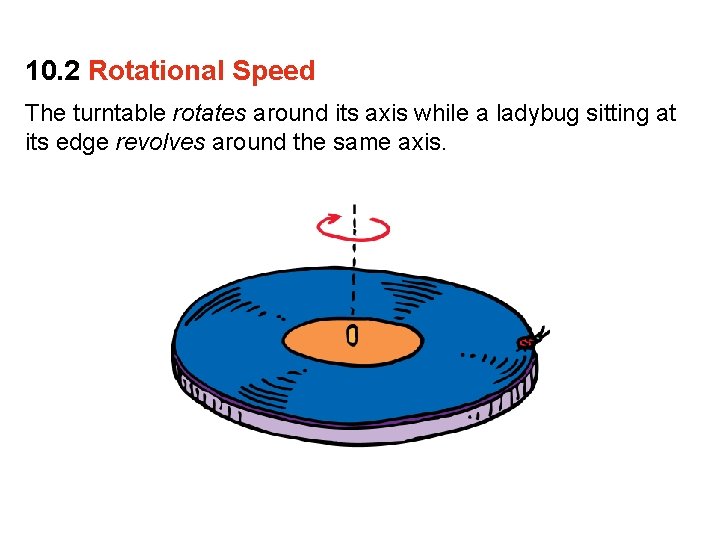 10. 2 Rotational Speed The turntable rotates around its axis while a ladybug sitting