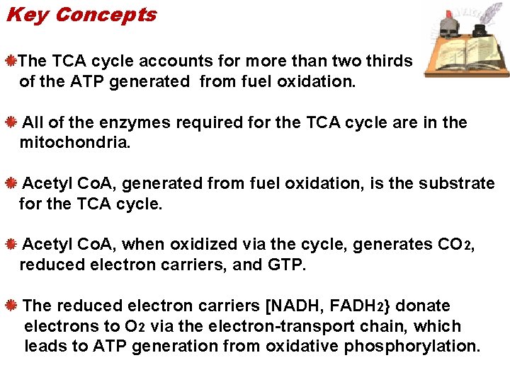 Key Concepts The TCA cycle accounts for more than two thirds of the ATP