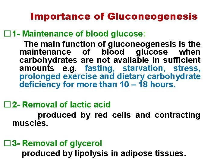 Importance of Gluconeogenesis � 1 Maintenance of blood glucose: The main function of gluconeogenesis