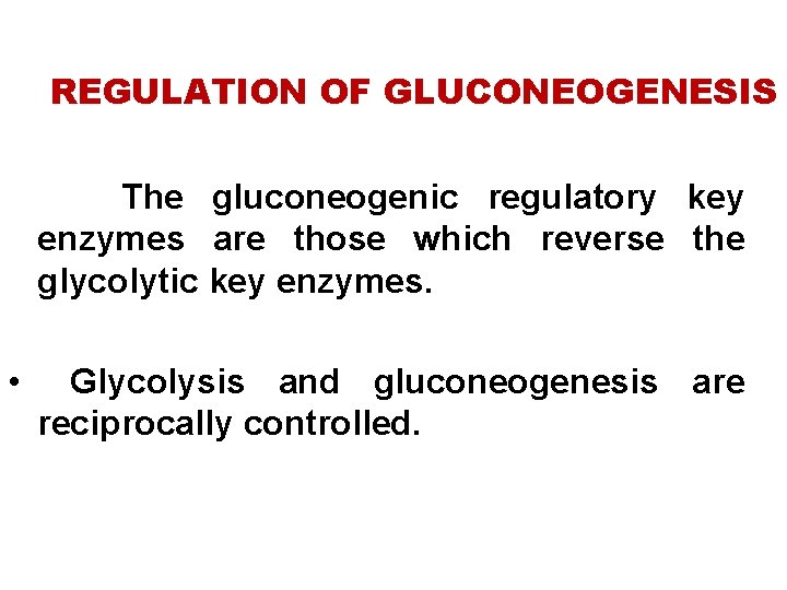 REGULATION OF GLUCONEOGENESIS The gluconeogenic regulatory key enzymes are those which reverse the glycolytic
