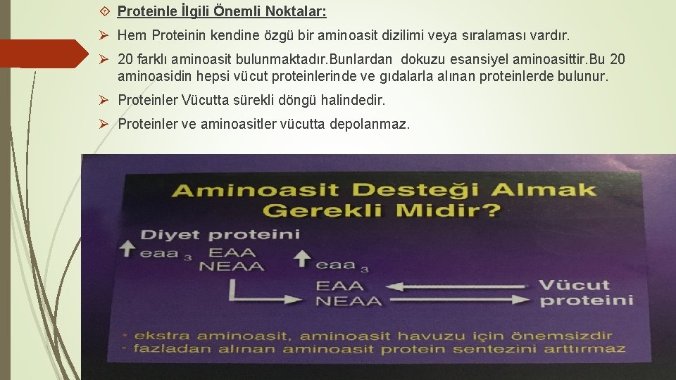  Proteinle İlgili Önemli Noktalar: Ø Hem Proteinin kendine özgü bir aminoasit dizilimi veya