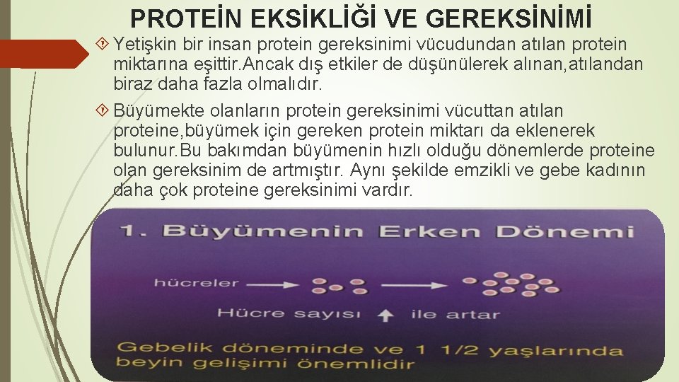 PROTEİN EKSİKLİĞİ VE GEREKSİNİMİ Yetişkin bir insan protein gereksinimi vücudundan atılan protein miktarına eşittir.