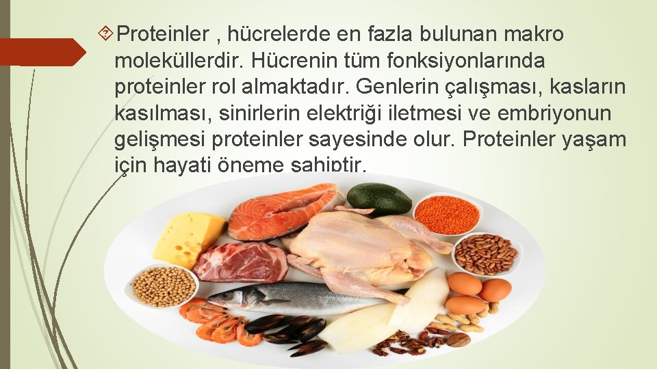  Proteinler , hücrelerde en fazla bulunan makro moleküllerdir. Hücrenin tüm fonksiyonlarında proteinler rol