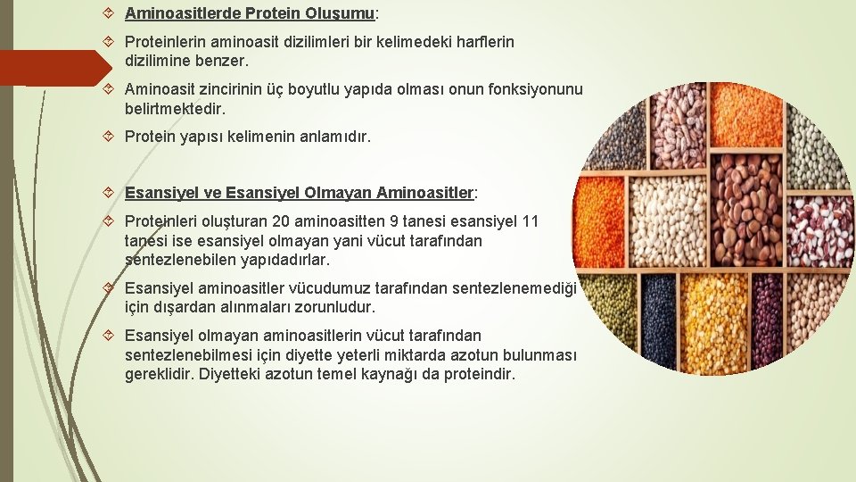  Aminoasitlerde Protein Oluşumu: Proteinlerin aminoasit dizilimleri bir kelimedeki harflerin dizilimine benzer. Aminoasit zincirinin