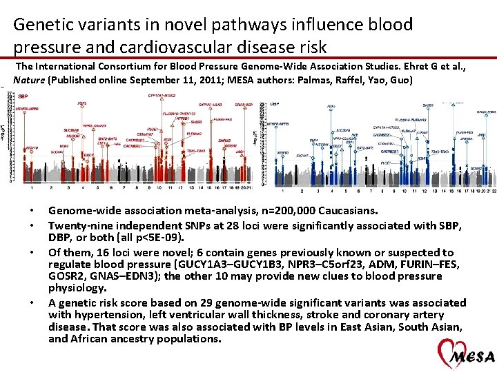 Genetic variants in novel pathways influence blood pressure and cardiovascular disease risk The International