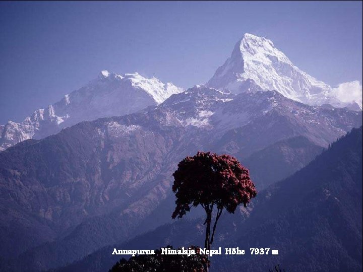 Annapurna Himalaja Nepal Höhe 7937 m 