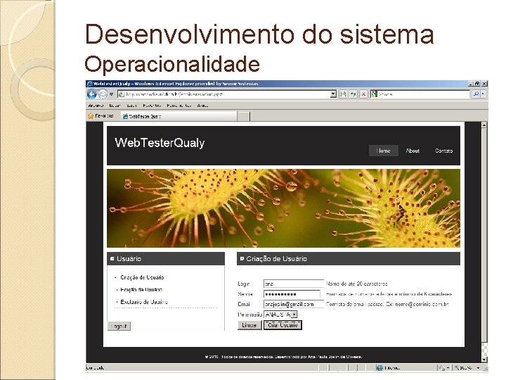Desenvolvimento do sistema Operacionalidade Desenvolvimento do sistema Operacionalidade