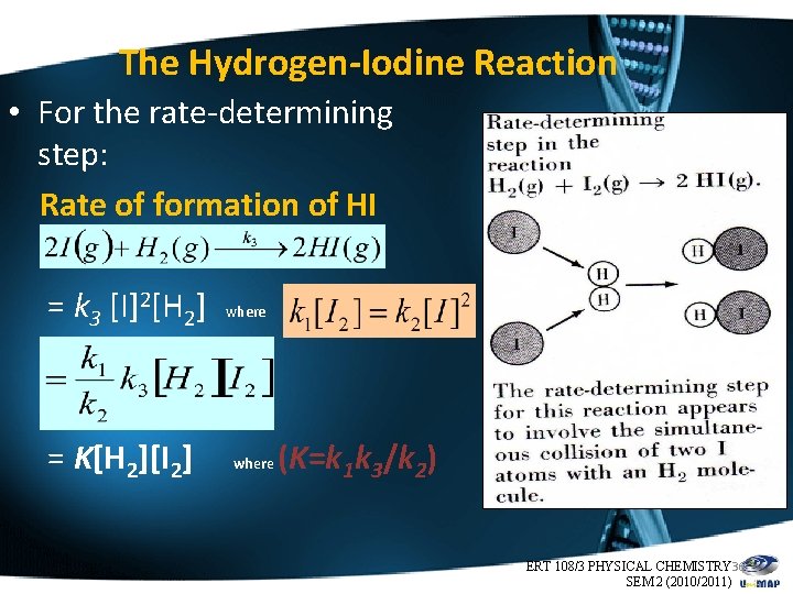 The Hydrogen-Iodine Reaction • For the rate-determining step: Rate of formation of HI =