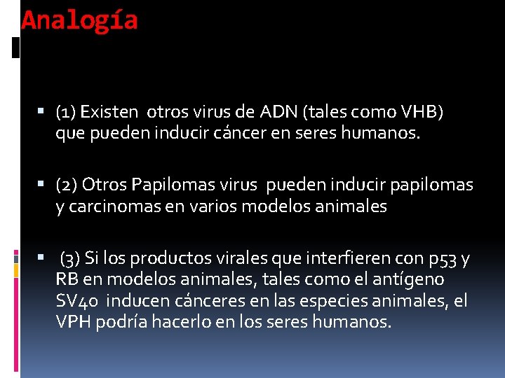 Analogía (1) Existen otros virus de ADN (tales como VHB) que pueden inducir cáncer