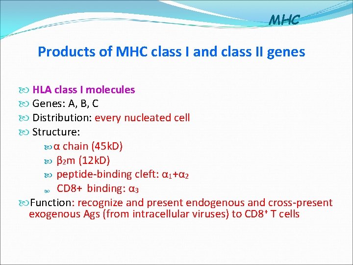 MHC Products of MHC class I and class II genes HLA class I molecules