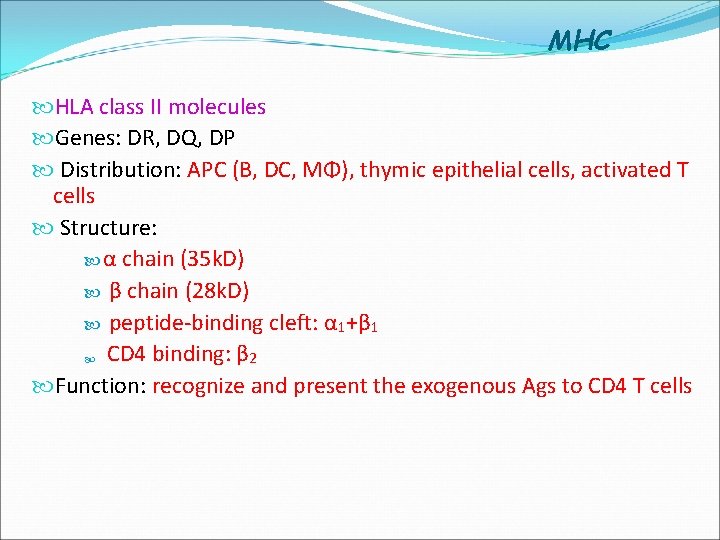 MHC HLA class II molecules Genes: DR, DQ, DP Distribution: APC (B, DC, MΦ),