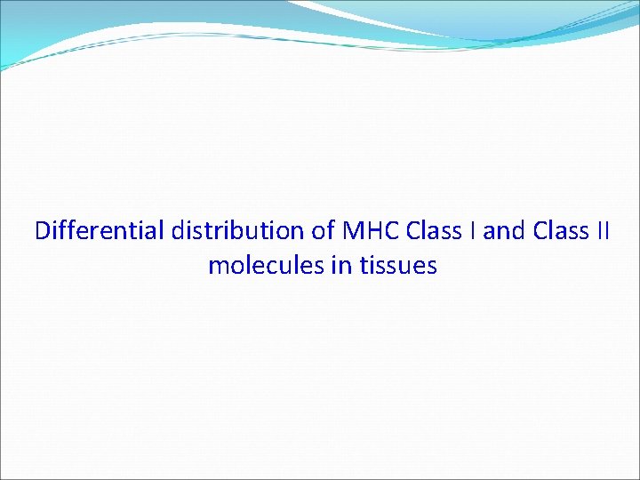 Differential distribution of MHC Class I and Class II molecules in tissues 