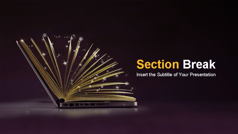 Section Break Insert the Subtitle of Your Presentation 